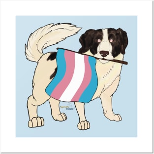 Pride Doggos: Transgender Tornjak Posters and Art